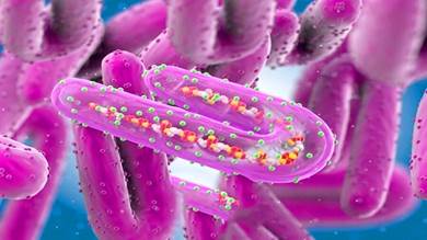 إسبانيا ترصد أول إصابة محتملة بفيروس "ماربورغ" لديها